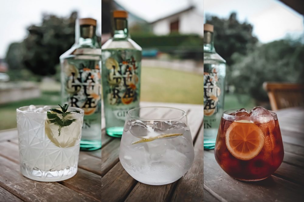 Gin NATURAE Fructetum, London Dry made in Italy